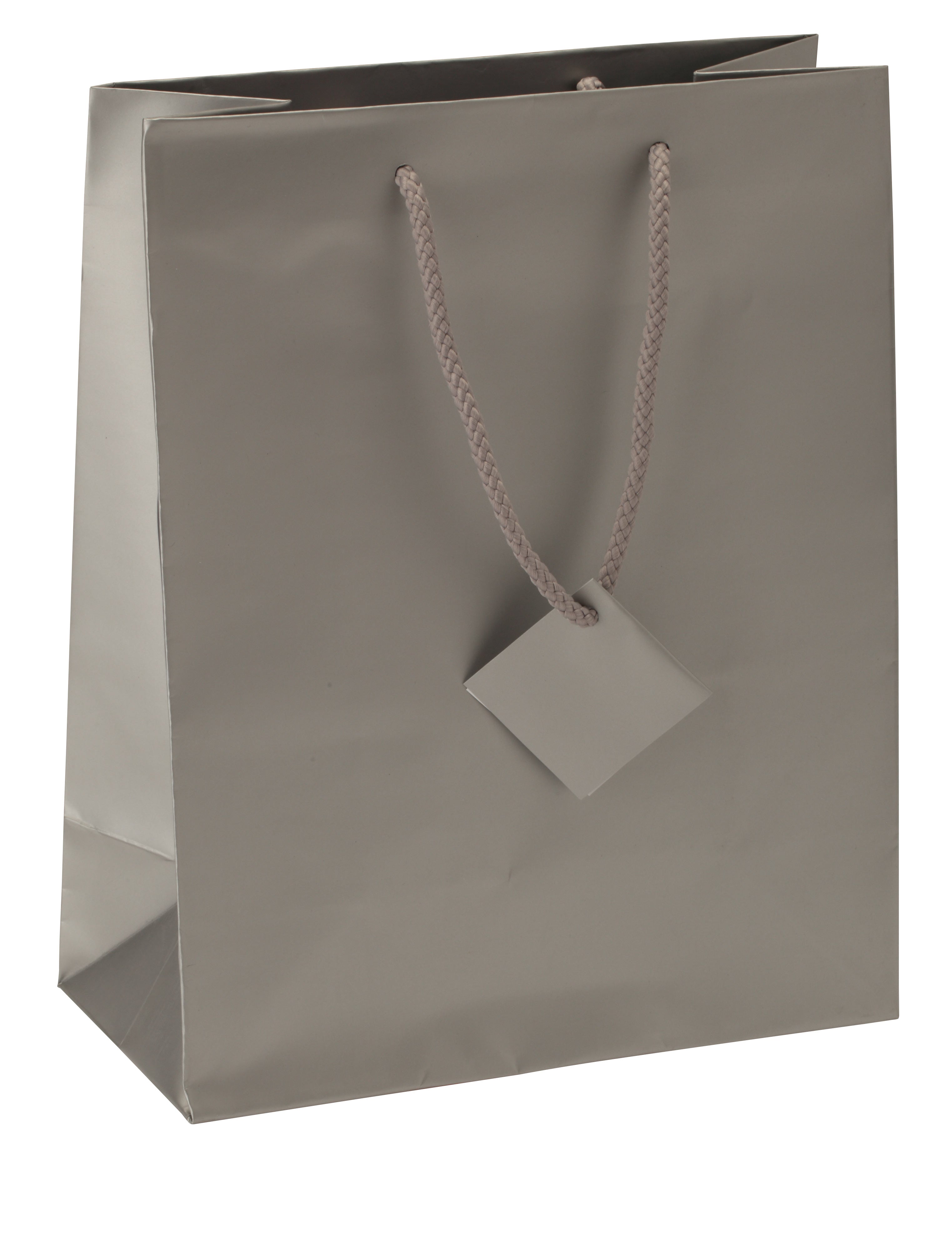 Satin-Finish Tote-Style Gift Bags in Silver Frost, Pk/20