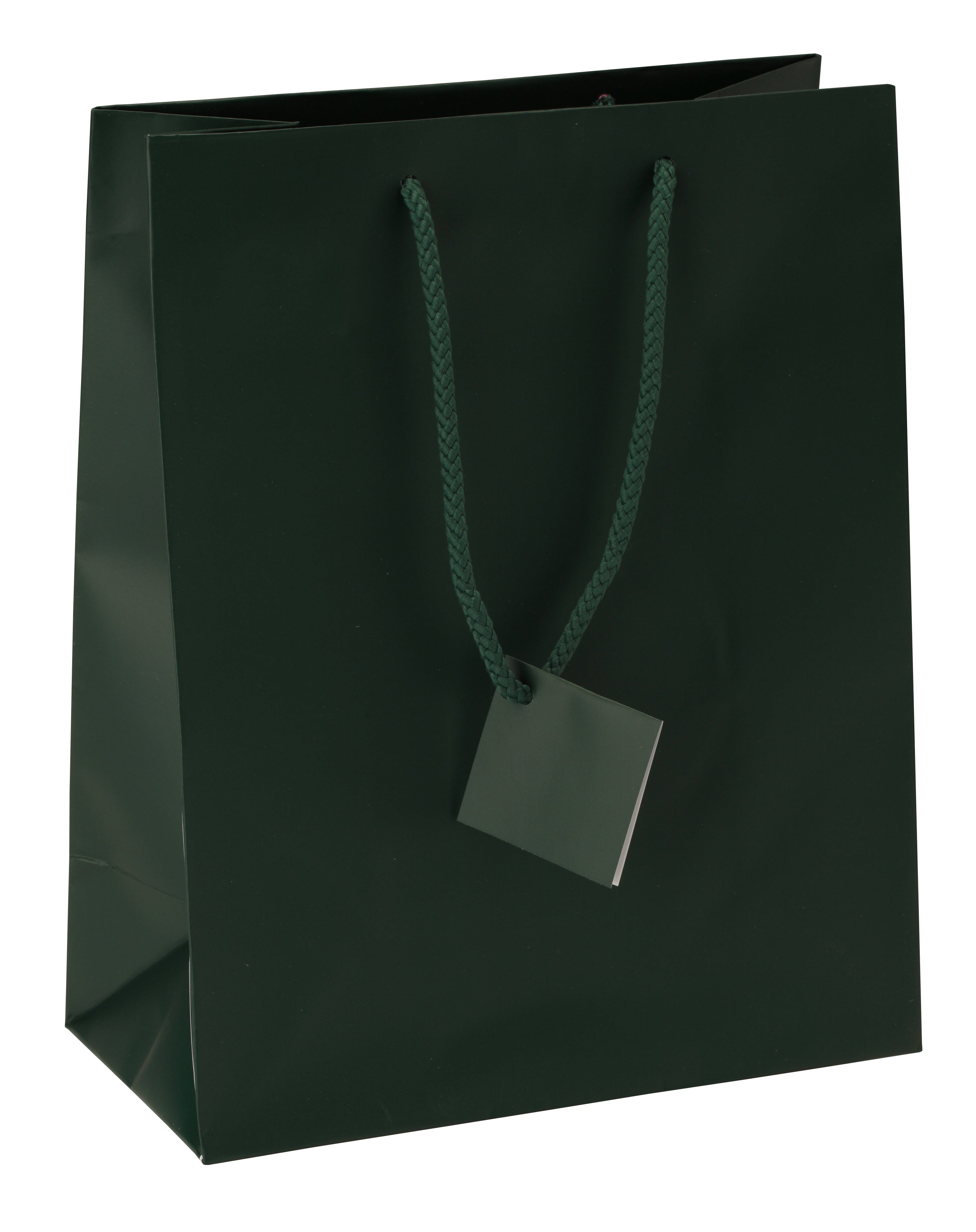 Satin-Finish Tote-Style Gift Bags in Jade Green, Pk/20
