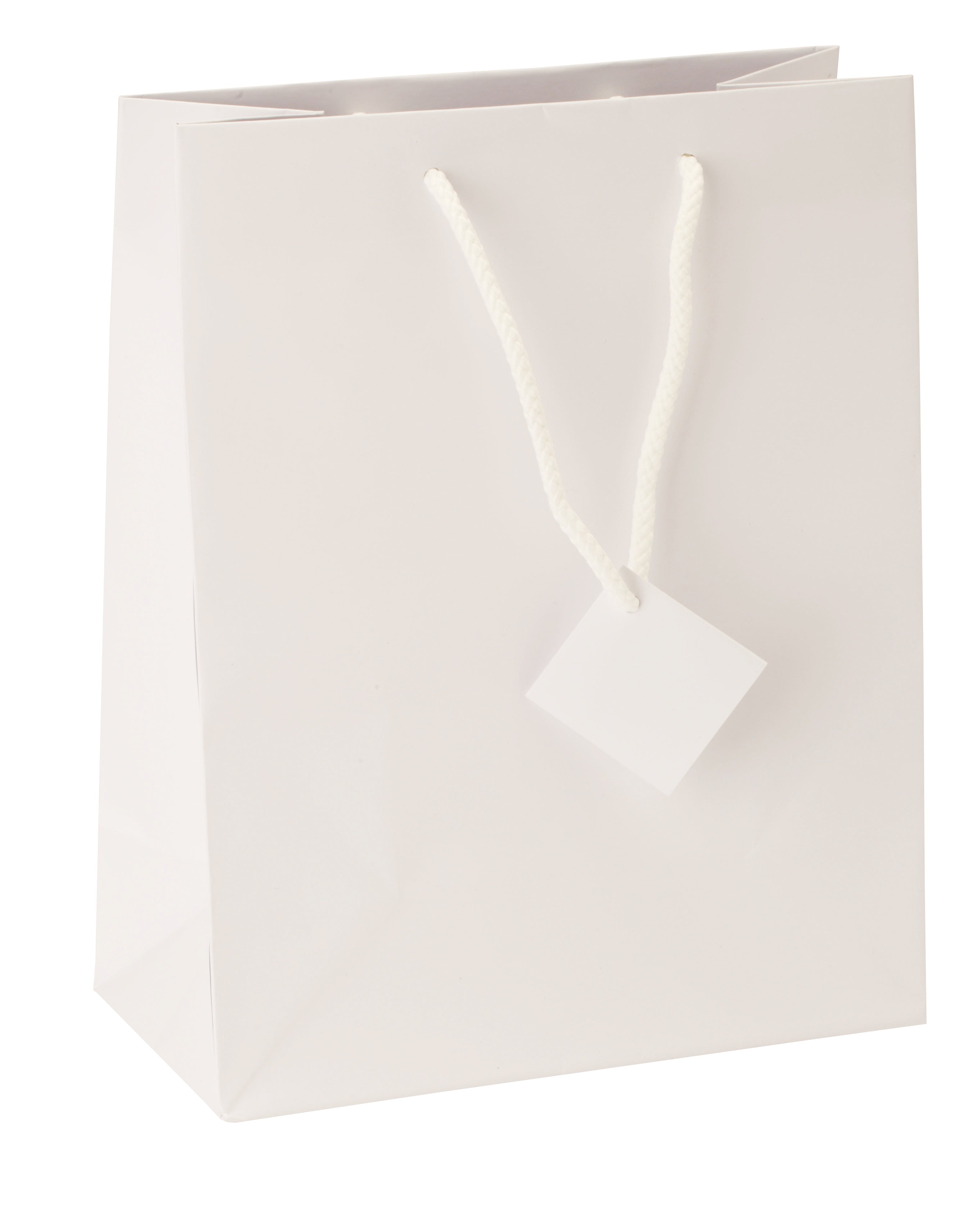Satin-Finish Tote-Style Gift Bags in Snow, Pk/20
