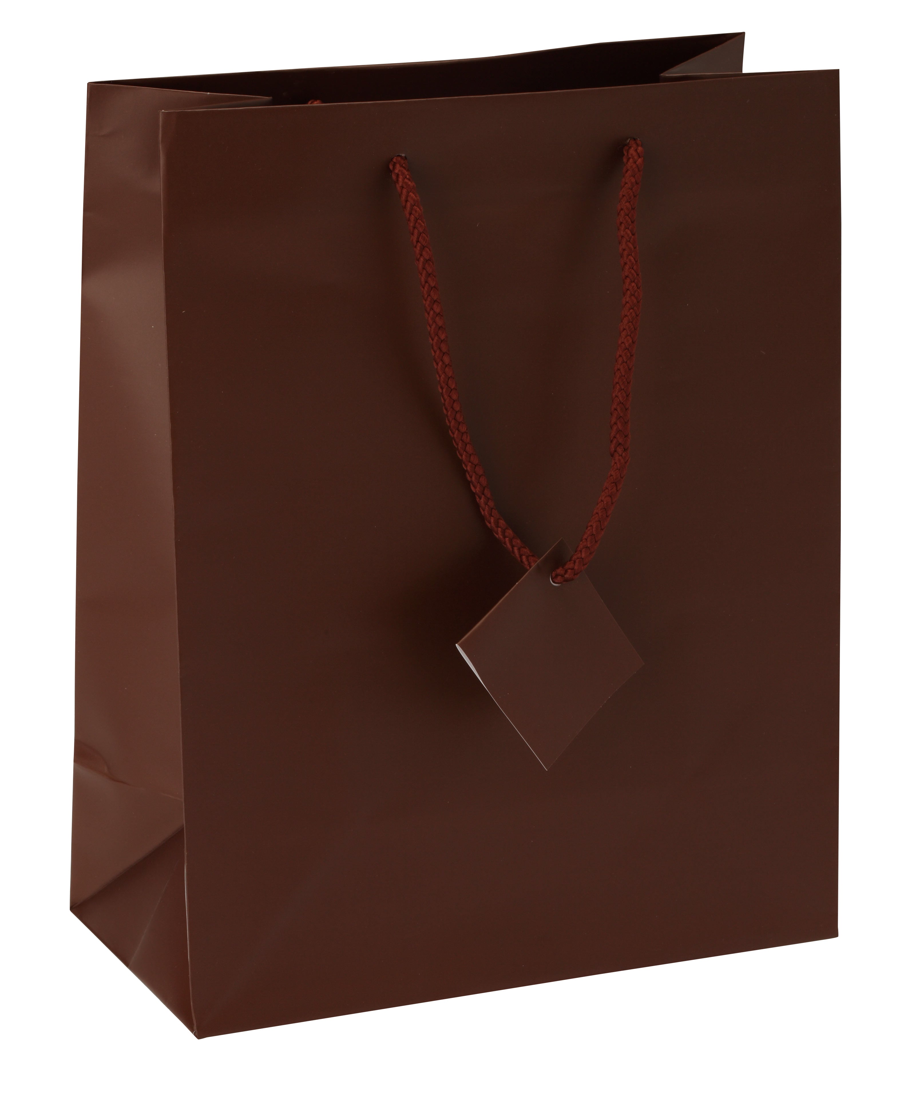 Satin-Finish Tote-Style Gift Bags in Chocolate Brown, Pk/20