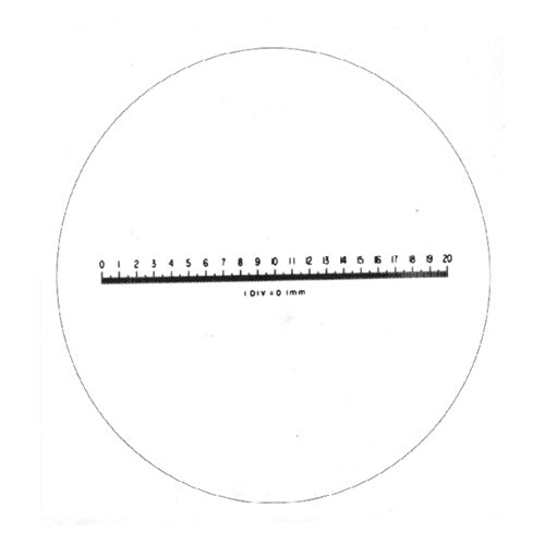 Metric Scale