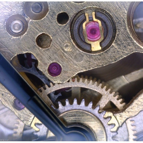 Dino-Lite Digital Microscopes