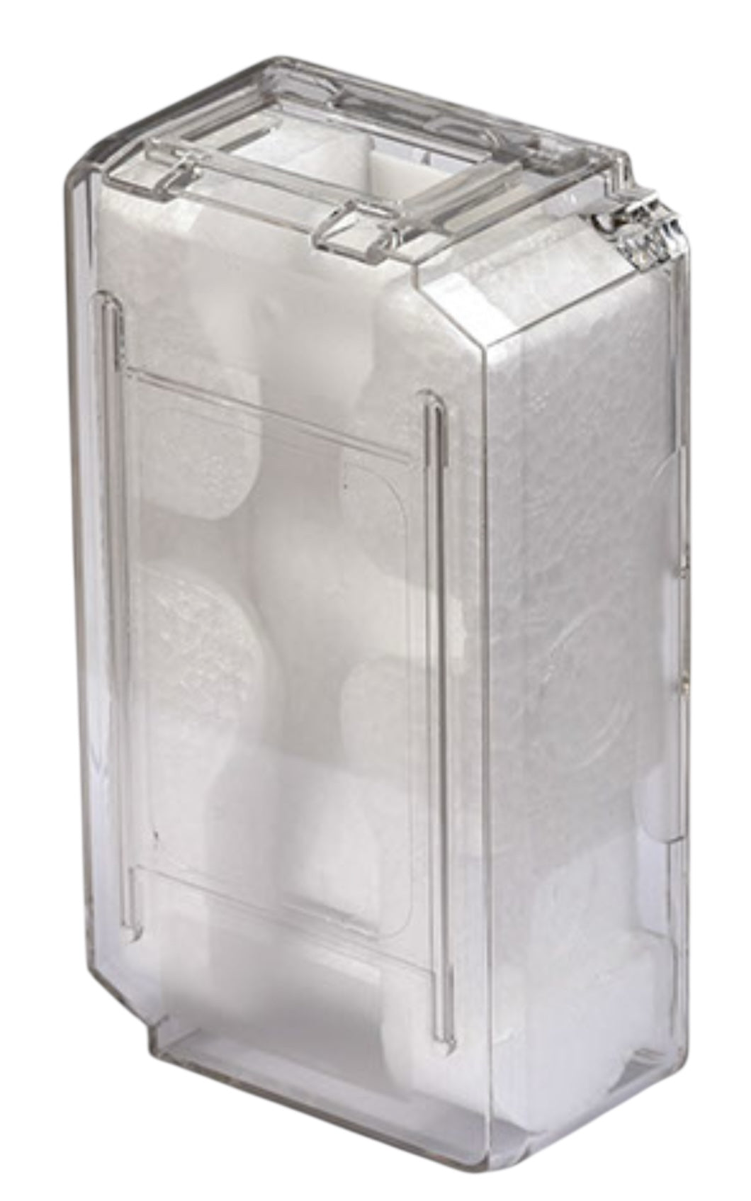 Clear Plastic Watch Coffin Box