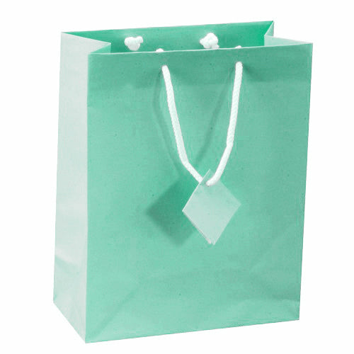 Satin-Finish Tote-Style Gift Bags in Eggshell Blue, Pk/20