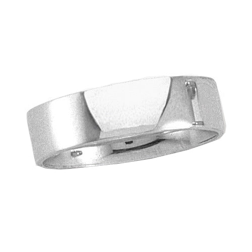 Platinum Flat Band 6 mm