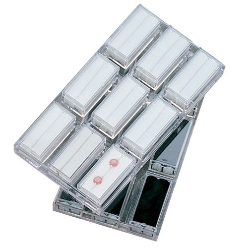 9 Acrylic 2 x 1" Gem Jars Inserts in Acrylic Trays, 7" L x 4" W