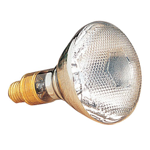 160 Watt Mercury Bulb