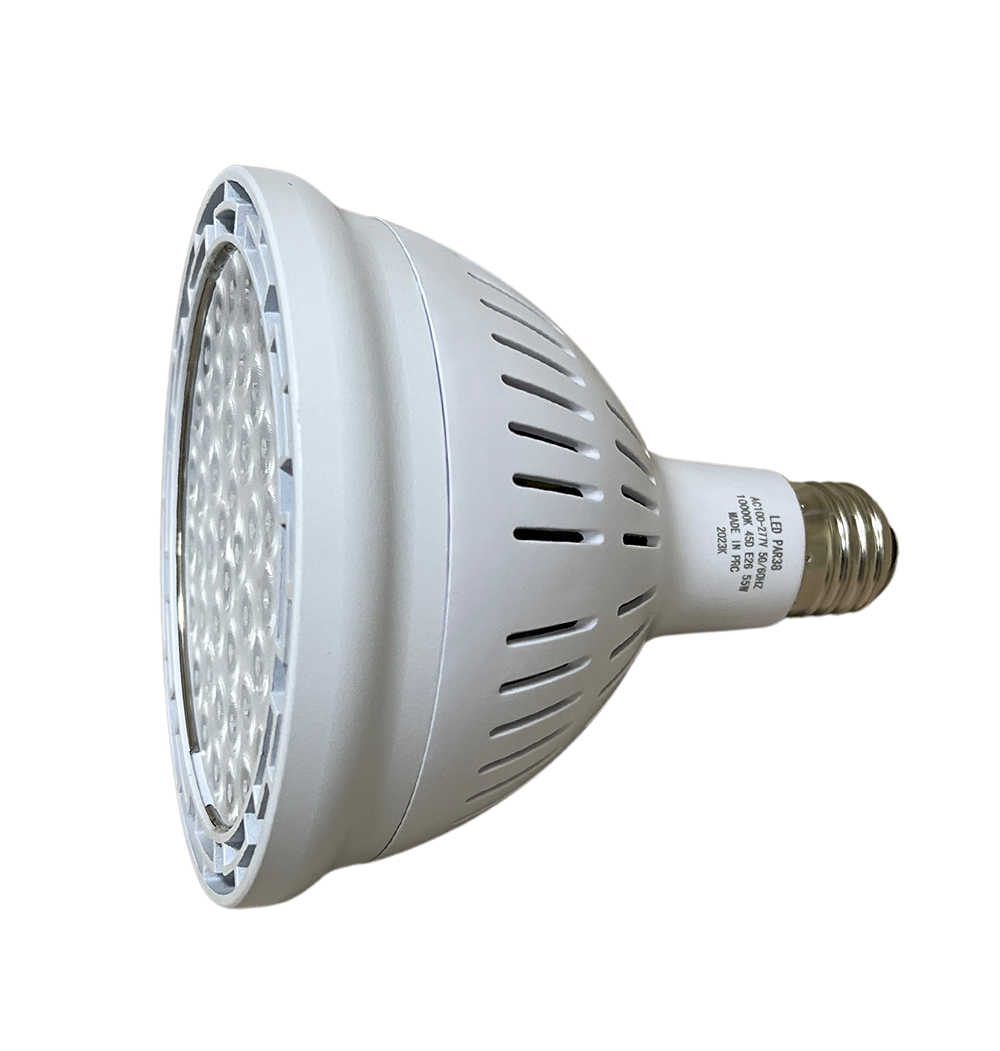 Braxon PAR38 LED Bulb (55W/45°)