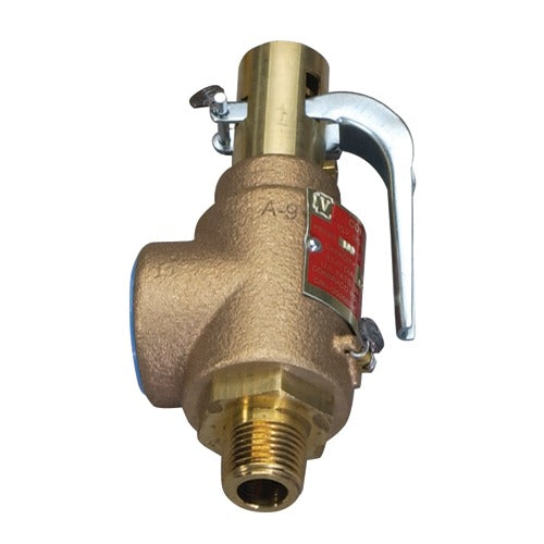 Safety Valve For Steamaster/Reimer