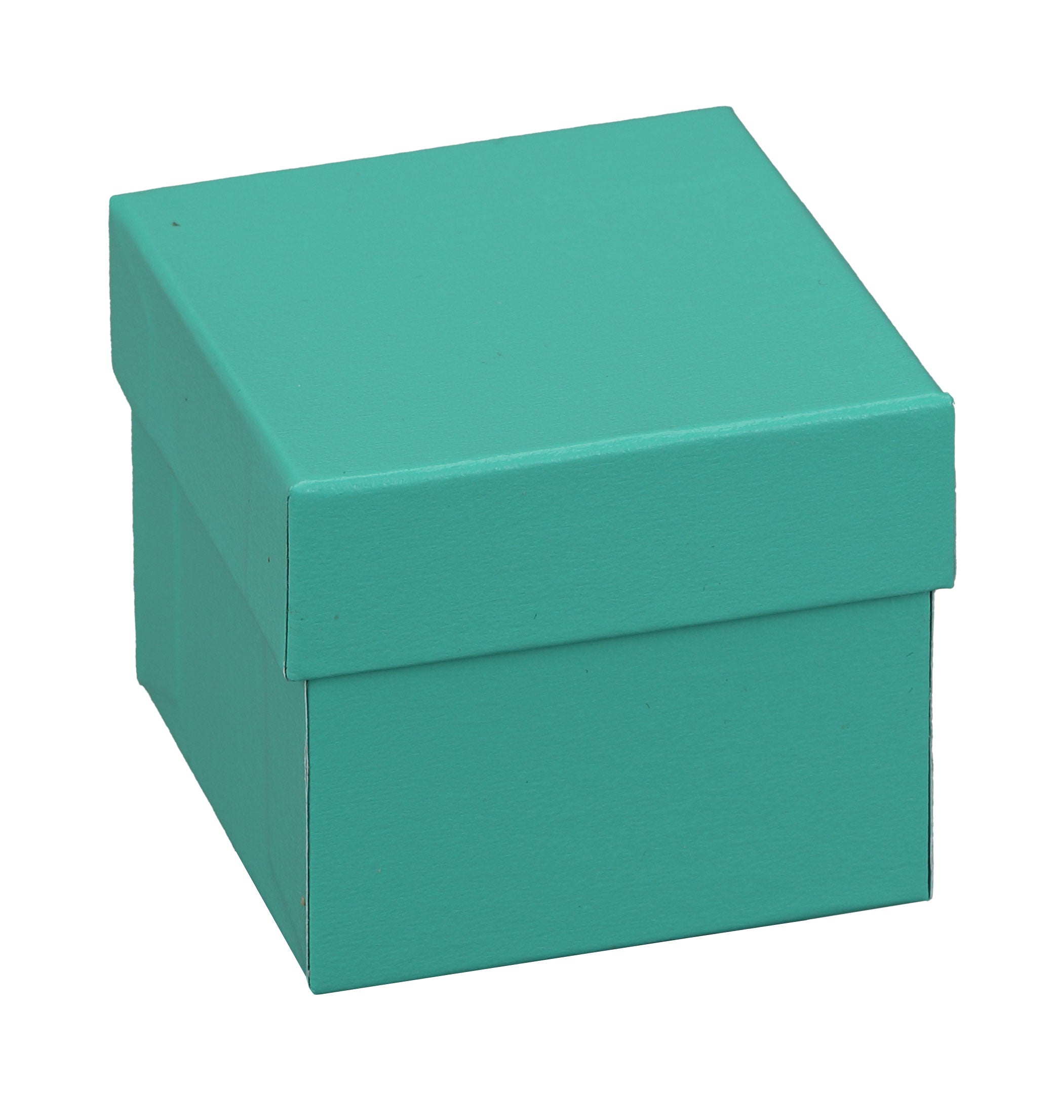 "Manhattan" Ring Clip Box in Turquoise/Silver Trim
